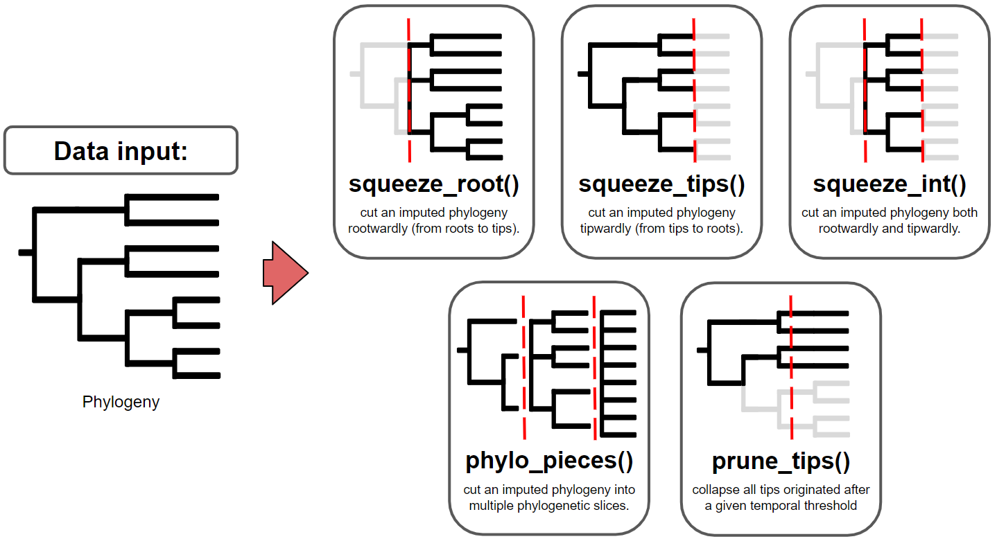 Figure 1: This figure provides illustrated examples of the functions for slicing phylogenies available within treesliceR. The red dashed lines indicate hypothetical temporal thresholds input by the user.