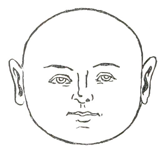 Fig. 12

ROUND FACE