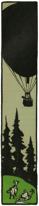 The balloon flies over fields and forests