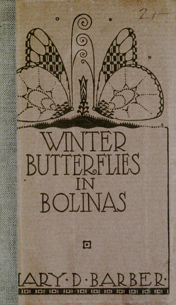 Winter Butterflies in Bolinas